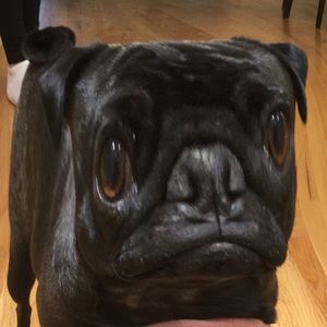 Meet your Posher, Lily